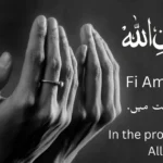 fi amanillah meaning in urdu